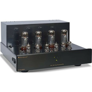 Усилитель мощности Primaluna EVO 300 Poweramp Black