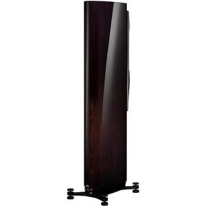 Напольная акустика Dynaudio Confidence 30 Raven wood high gloss