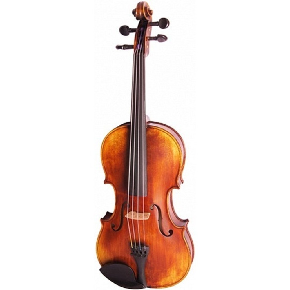 Скрипка концертная 4/4 Strunal 194-4/4 Pienza