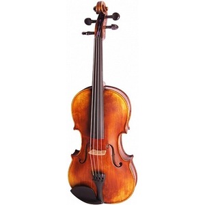 Скрипка концертная 4/4 Strunal 194-4/4 Pienza