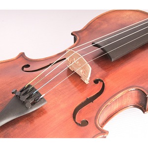 Скрипка концертная 4/4 Strunal 194-4/4 Pienza