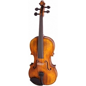 Скрипка концертная 4/4 Strunal 176-4/4