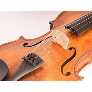 Скрипка концертная 4/4 Strunal 176-4/4