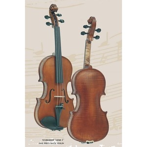 Скрипка размер 4/4 Gliga AW-V044-O