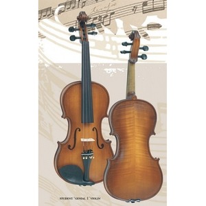 Скрипка размер 4/4 Gliga S-V044-Set