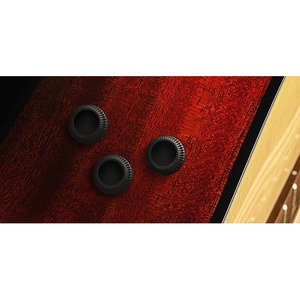 Предусилитель для акустической гитары Cort Flex-Plus