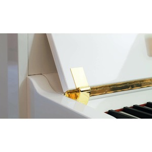 Пианино акустическое Petrof P 125M1 0801
