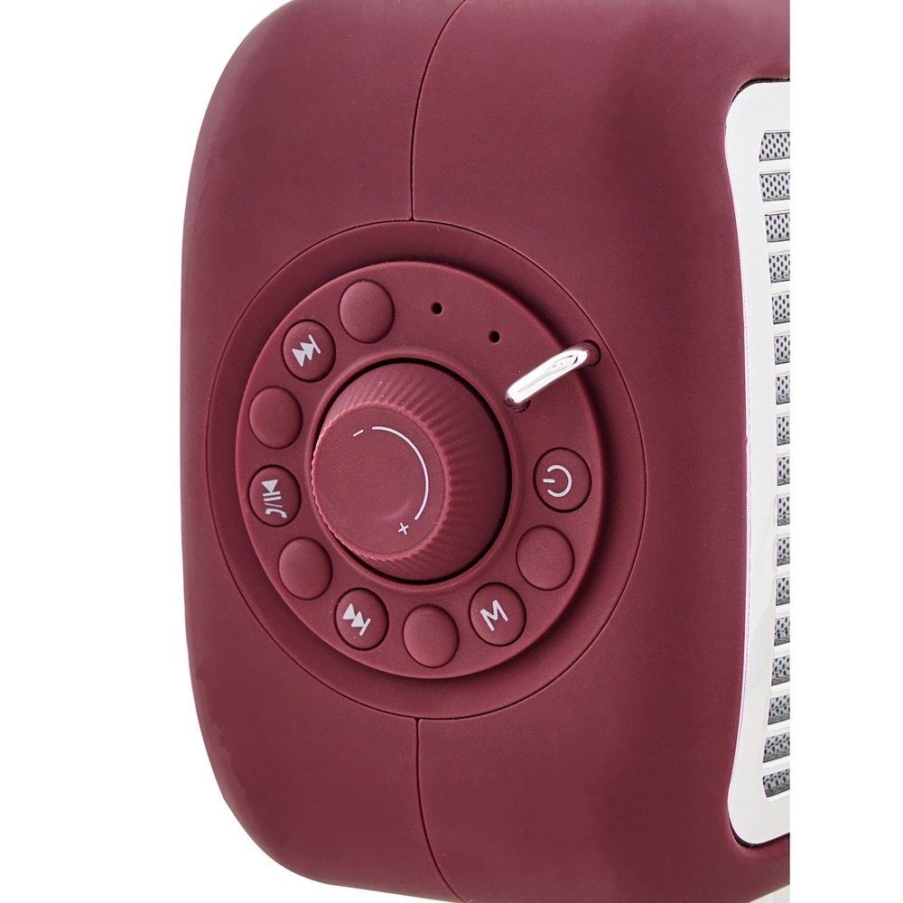 Портативная акустика Alive Audio Journey Bordeaux