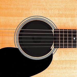 Увлажнитель для гитары Planet Waves PW-ASHH-01