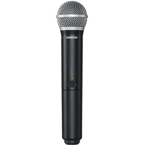 Радиосистема на два микрофона Shure BLX1288E/MX53 M17