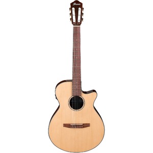 Электроакустическая гитара IBANEZ AEG50N-NT
