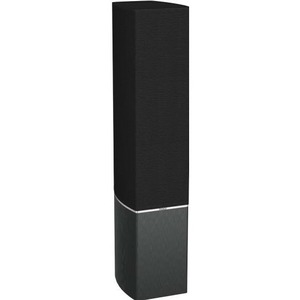 Напольная акустика Tannoy Platinum F6 BLACK
