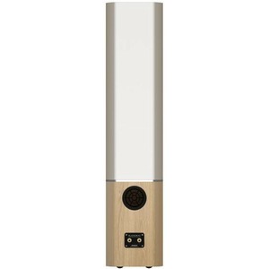 Напольная акустика Tannoy Platinum F6 WHITE