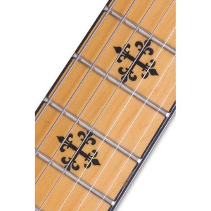 Электрогитара SCHECTER JEFF LOOMIS-7 NT VRS