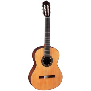 Классическая гитара P.Castillo 202