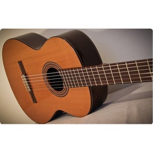 Классическая гитара P.Castillo 203