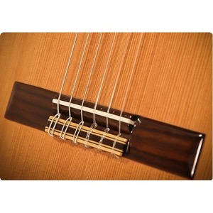 Классическая гитара P.Castillo 203