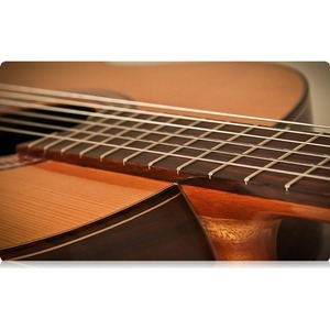 Классическая гитара P.Castillo 203