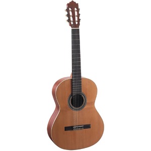 Классическая гитара P.Castillo 201