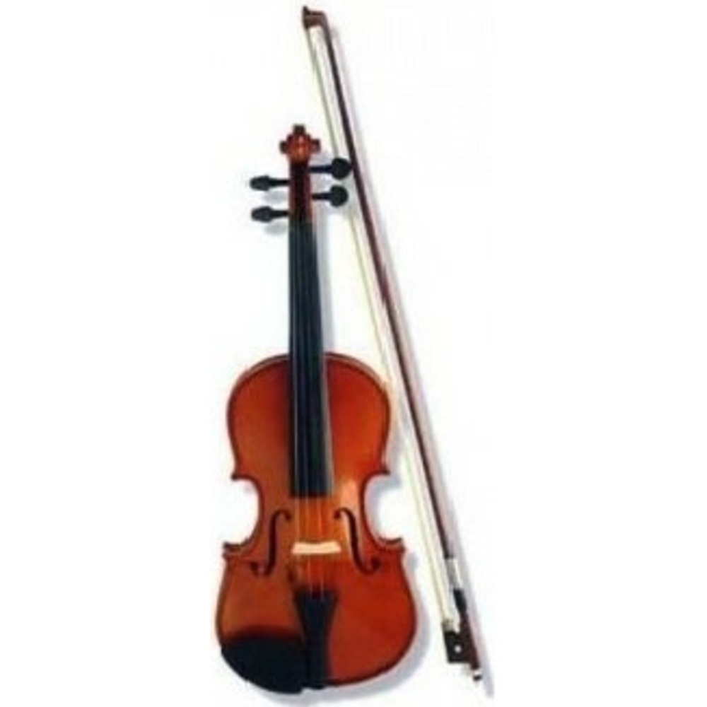 Скрипка размер 1/2 ALINA PRO AVD08B