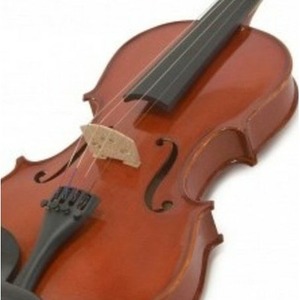 Скрипка размер 1/2 ALINA PRO AVD08B