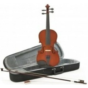 Скрипка размер 1/4 ALINA PRO AVD08C