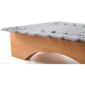 Металлофон ALINA PRO AM15