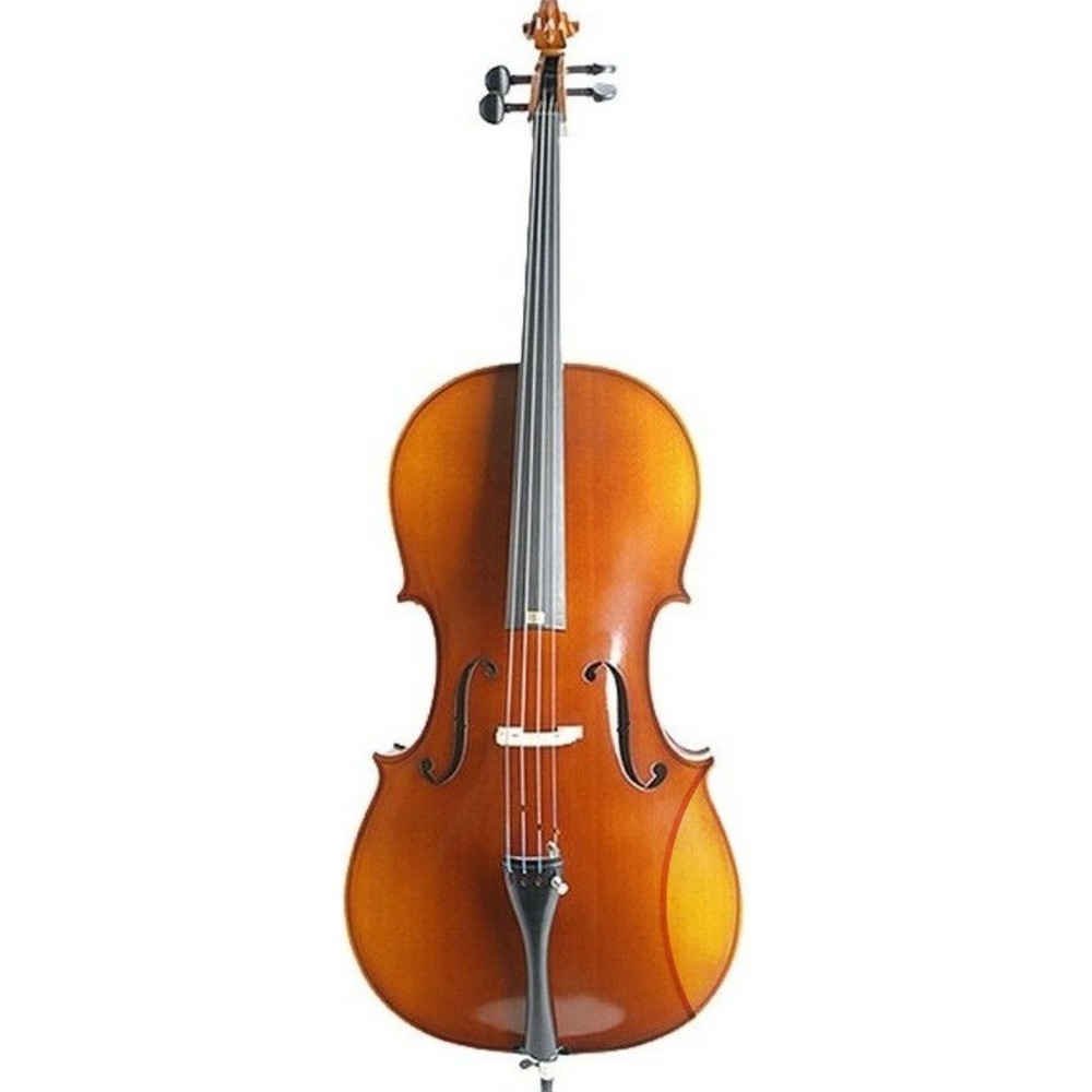 Виолончель 1/4 ALINA PRO AC026