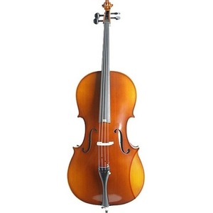 Виолончель 1/4 ALINA PRO AC026