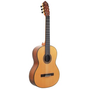 Классическая гитара Valencia VC564