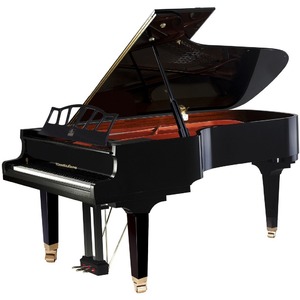 Рояль акустический Wendl&Lung W218BK