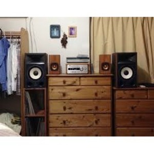 Полочная акустика JBL 4306
