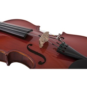 Скрипка размер 1/2 Suzuki NS50-OF 1/2