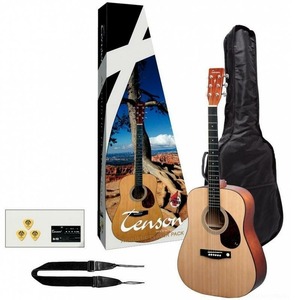 Гитарный комплект Tenson Player Pack D-1 NT