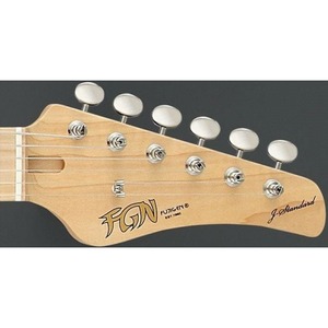 Электрогитара FGN J-Standard Odyssey JOS2FMM FBT