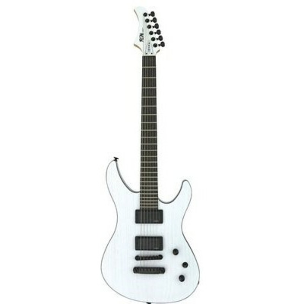 Электрогитара FGN J-Standard Mythic JMY2ASHE OPW