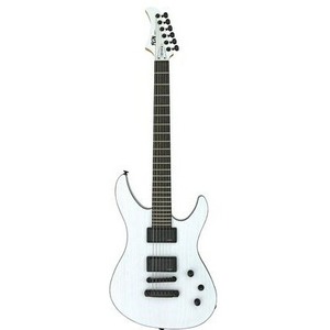 Электрогитара FGN J-Standard Mythic JMY2ASHE OPW