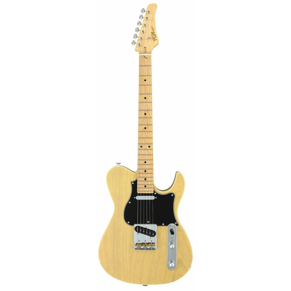 Электрогитара FGN J-Standard Iliad JIL2ASHM OWB