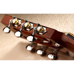 Комплект одиночной колковой механики SCHALLER 10510170.41.30