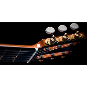 Комплект колковой механики для классической гитары SCHALLER 10610563.60.41