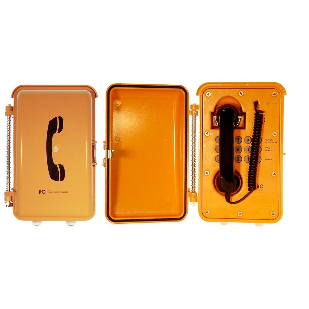 Взрывозащищенная вызывная панель Roxton T-6731