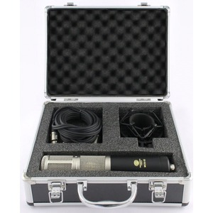 Микрофон студийный конденсаторный Recording Tools MCS-02