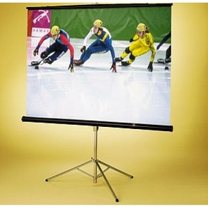 Экран для проектора Draper Diplomat AV 1:1 60/60 152x152 XT1000E MW