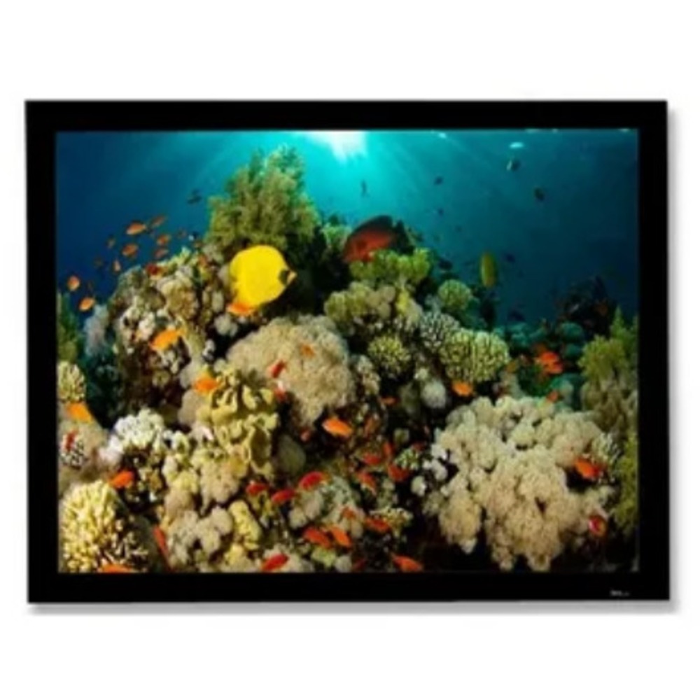 Экран для проектора Draper Cineperm HDTV 9:16 409/161 203x356 XH600V HDG