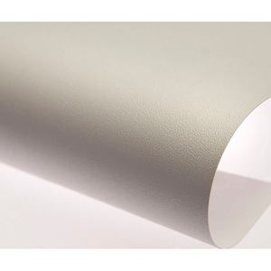 Экран для проектора Draper Cineperm HDTV 9:16 409/161 203x356 XH600V HDG