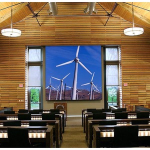 Экран для проектора Draper Cineperm HDTV 9:16 302/119 147x264 XT1000V M1300