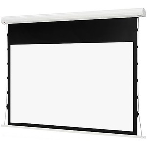 Экран для проектора Euroscreen Diplomat Electric Video 4:3 240x210cm VA230x172,5 TabT Flexwhite case white