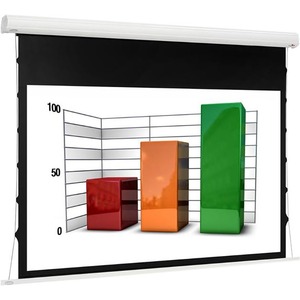 Экран для проектора Euroscreen Diplomat Electric Video 4:3 240x210cm VA230x172,5 TabT Flexwhite case white