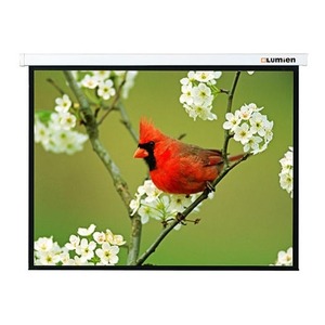 Экран для дома, настенно потолочный с электроприводом Lumien LMC-101108 Master Control 221х203