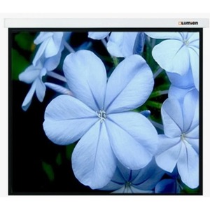 Экран для дома, настенно потолочный с электроприводом Lumien LMC-101108 Master Control 221х203